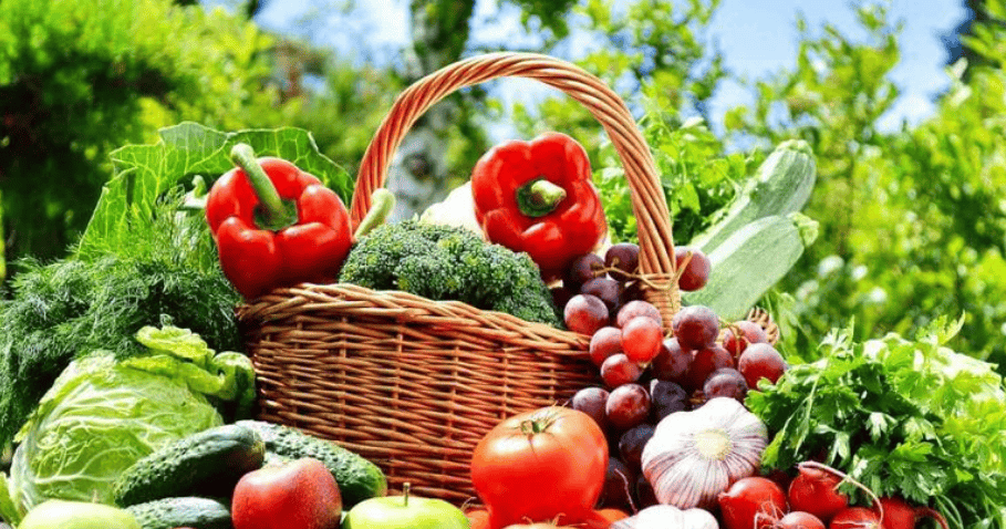 互聯網賦能果蔬行業 健康品質如何重塑苗木種植新未來