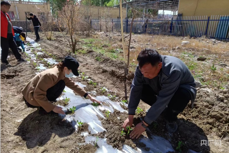 強化黨建示范引領 賦能鄉村庭院果蔬產業發展
