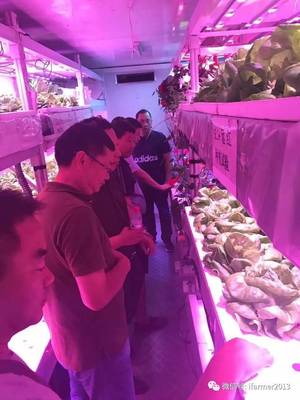 智慧農業新篇章 宿遷市領導參觀旭田植物工廠，共話苗木種植現代化未來